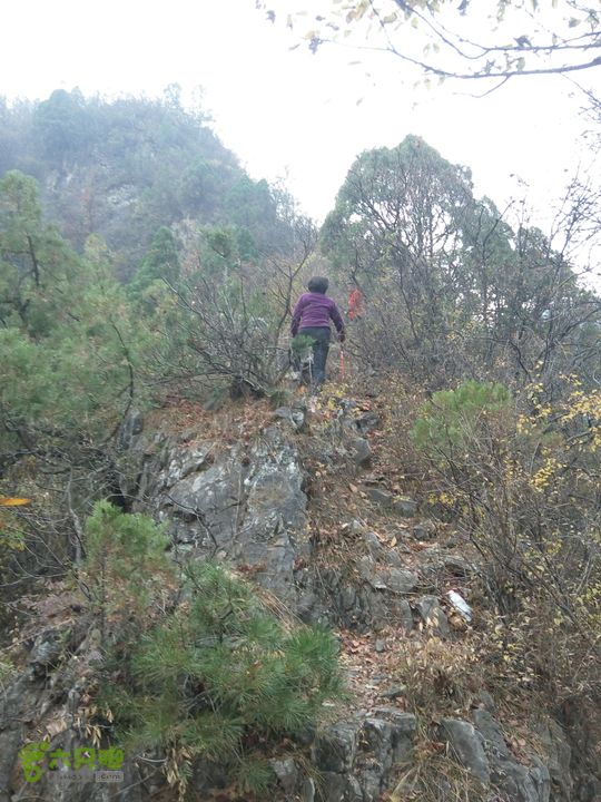 云台山大瀑布源头-上云台-外荒-小寨沟源头2014-11-08 14:42:17