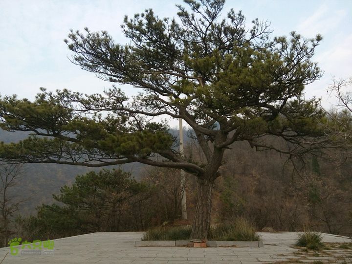 云台山大瀑布源头-上云台-外荒-小寨沟源头2014-11-08 15:54:25