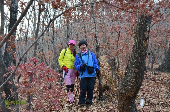 韭菜顶子兵山户外 (65)