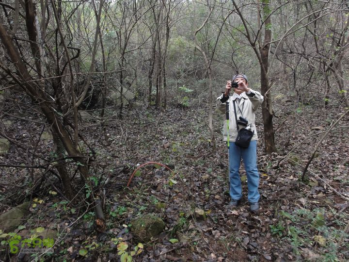 大龙山余湾到石树行DSC01784