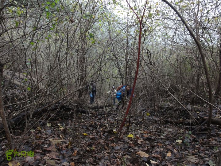 大龙山余湾到石树行DSC01788