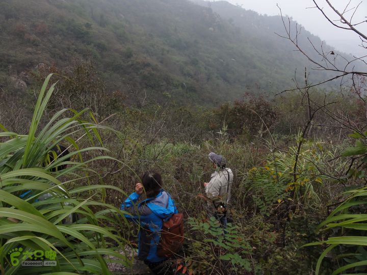 大龙山余湾到石树行DSC01795