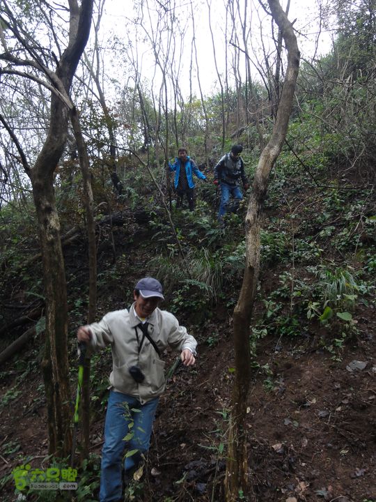 大龙山余湾到石树行DSC01798