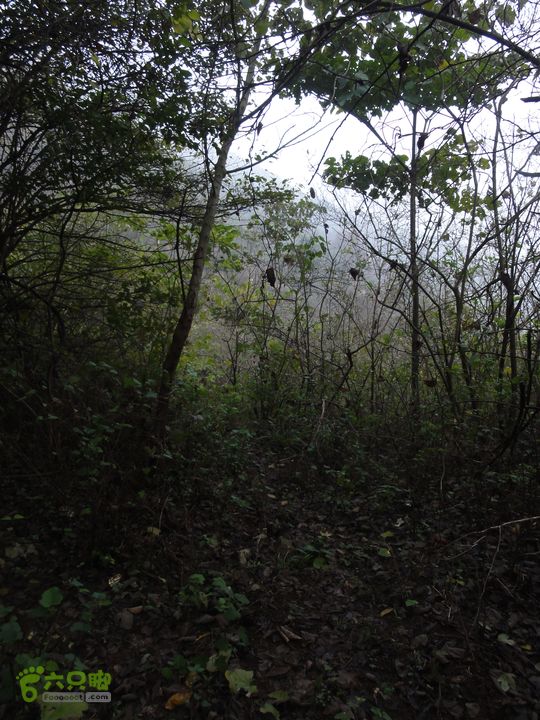 大龙山余湾到石树行DSC01816