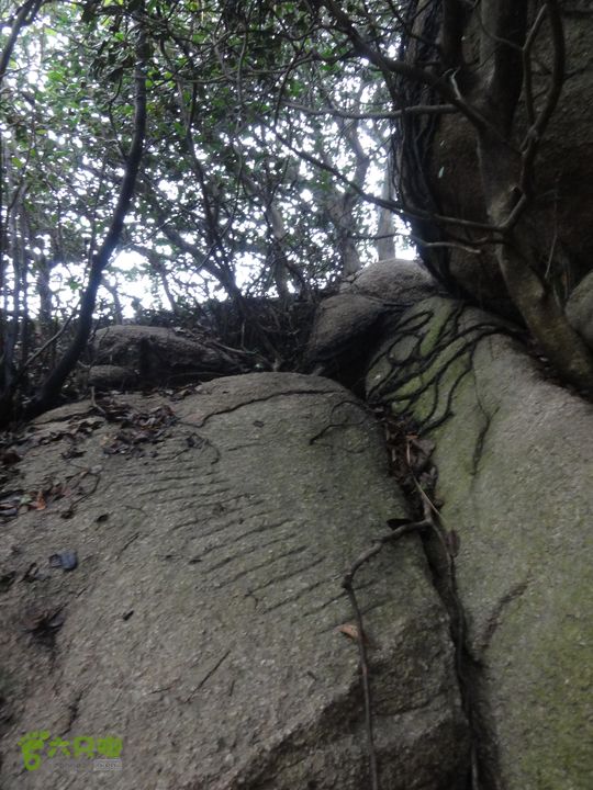 大龙山余湾到石树行DSC01833