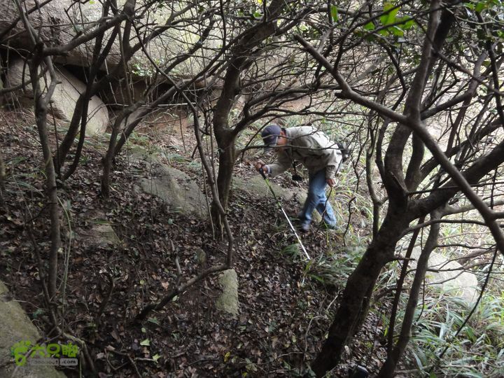 大龙山余湾到石树行DSC01838