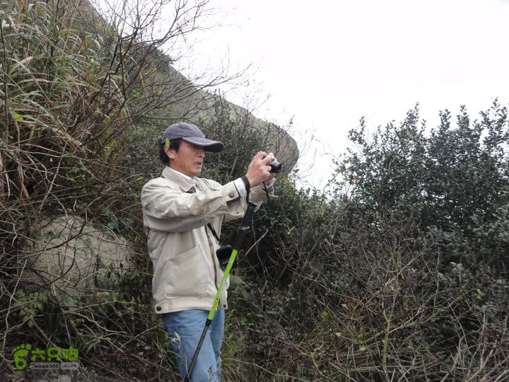 大龙山余湾到石树行DSC01841