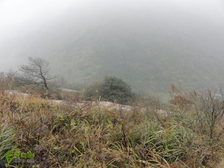 大龙山余湾到石树行DSC01844