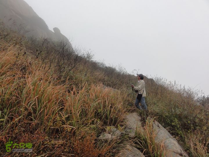 大龙山余湾到石树行DSC01849