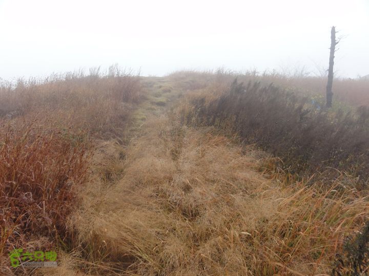 大龙山余湾到石树行DSC01886