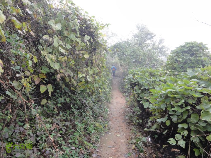 大龙山余湾到石树行DSC01913