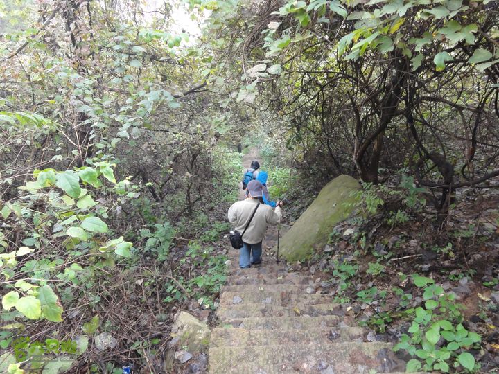 大龙山余湾到石树行DSC01924