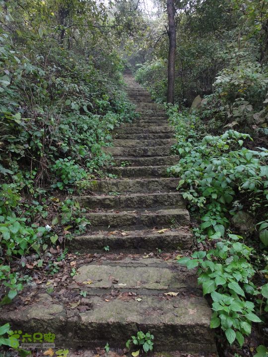 大龙山余湾到石树行DSC01928