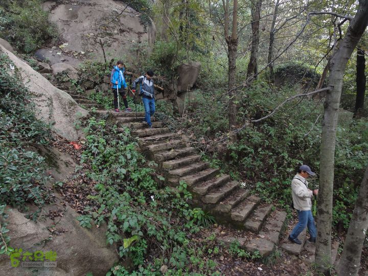 大龙山余湾到石树行DSC01953