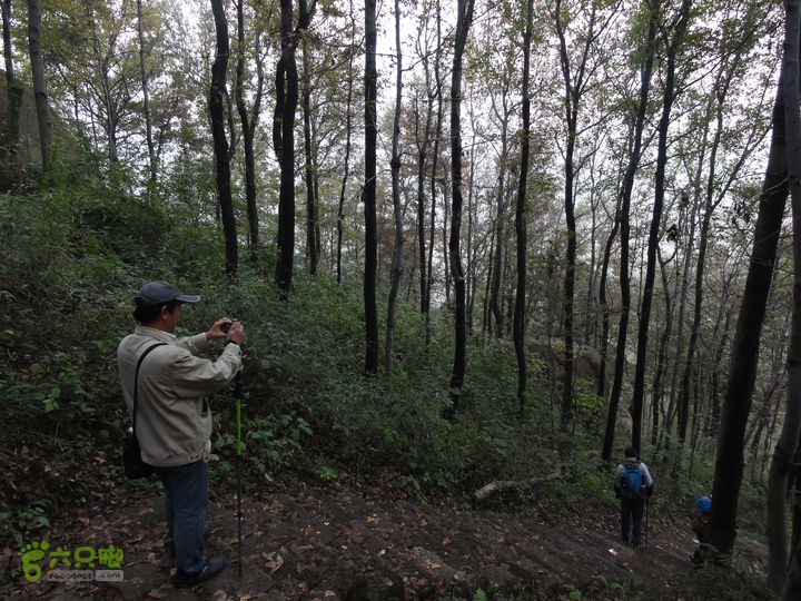 大龙山余湾到石树行DSC01963