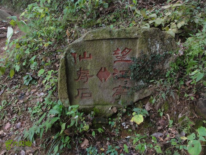 大龙山余湾到石树行DSC01973