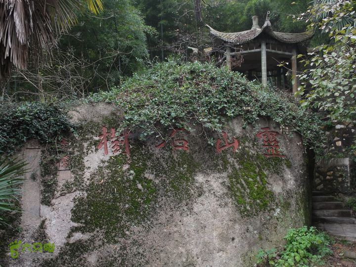 大龙山余湾到石树行DSC01989