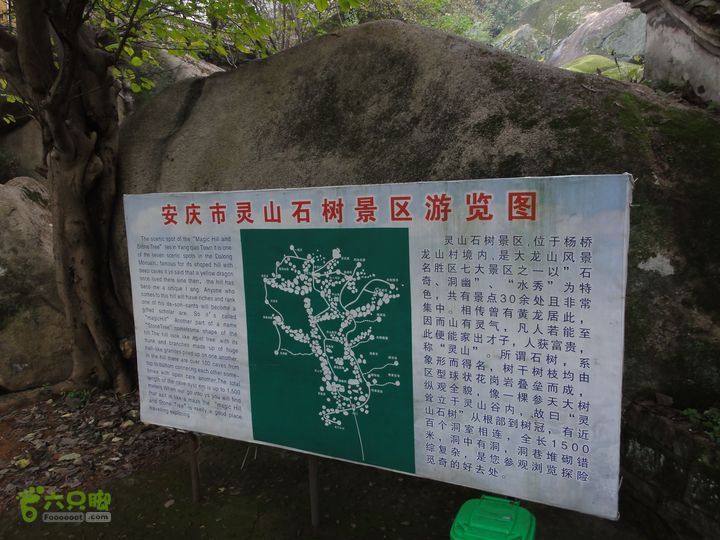 大龙山余湾到石树行DSC01999