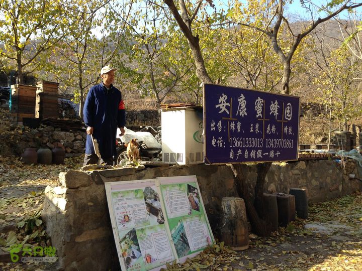20141108--京西古道-徒步-王平-峰口庵-圈门徒步-京西古道- (28)  安康蜜蜂园