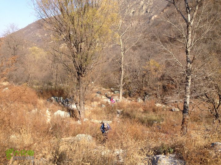 20141108--京西古道-徒步-王平-峰口庵-圈门徒步-京西古道- (46) --  崎岖山路进行中。。。。