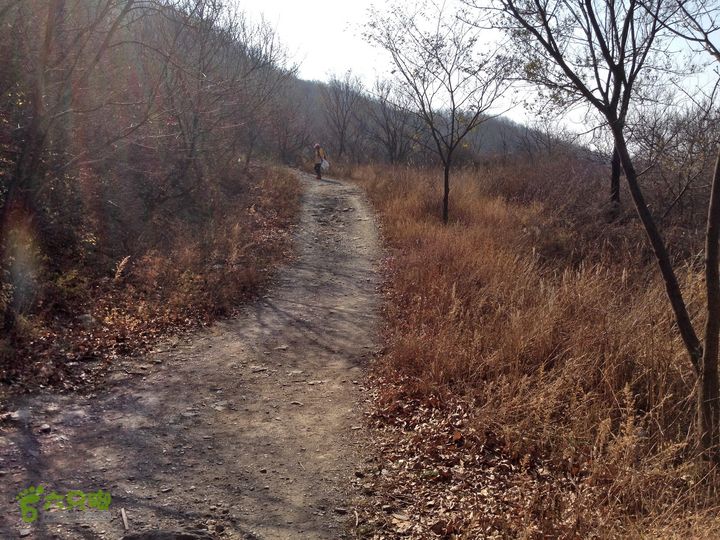 20141108--京西古道-徒步-王平-峰口庵-圈门徒步-京西古道- (81)  -- 有大道了！