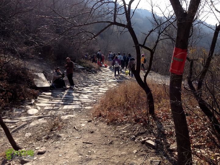 20141108--京西古道-徒步-王平-峰口庵-圈门徒步-京西古道- (96)  - 开始踏上下山了。 一路下坡了！