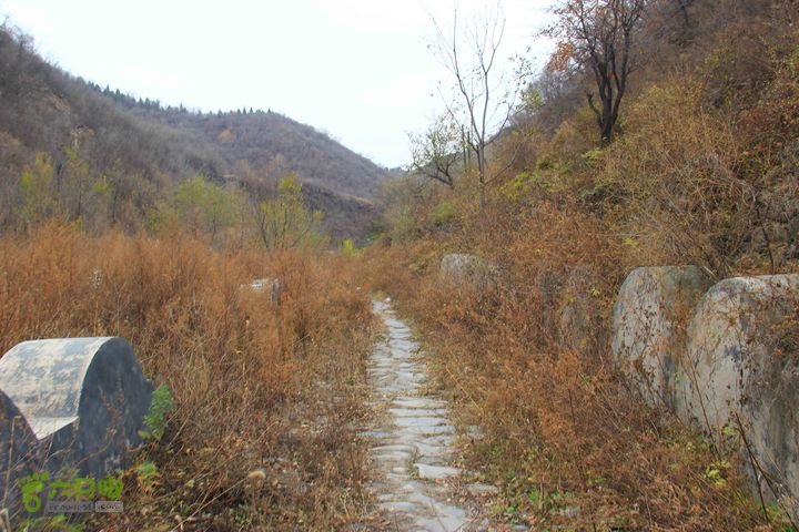 苛罗坨-庞潭古道-戒台寺-芦潭古道-石佛摩崖石刻-北宫森林公园