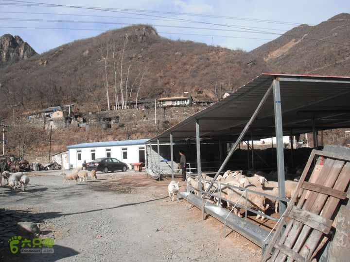 杨树洼-窑儿背-青杠尖-鱼骨寺-井儿峪-东太平-两峪口DSCF1235