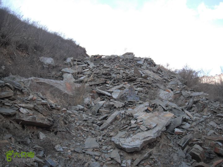 杨树洼-窑儿背-青杠尖-鱼骨寺-井儿峪-东太平-两峪口DSCF1287