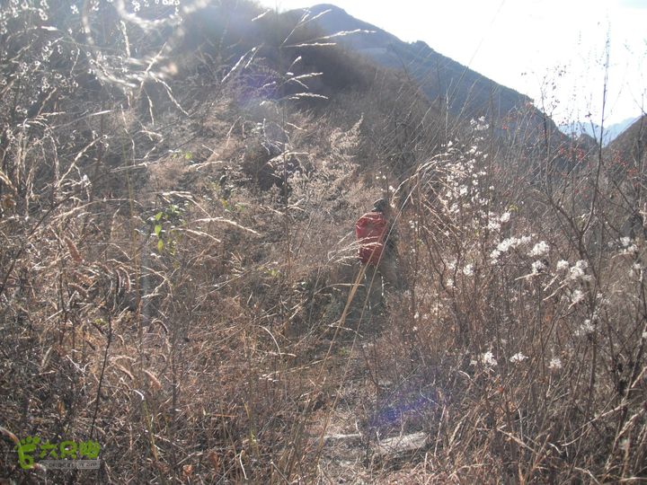 杨树洼-窑儿背-青杠尖-鱼骨寺-井儿峪-东太平-两峪口DSCF1307