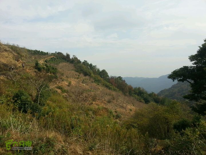 樟村~大雷岗~毛夹岙~樟村环线2014-11-19 10:24:49