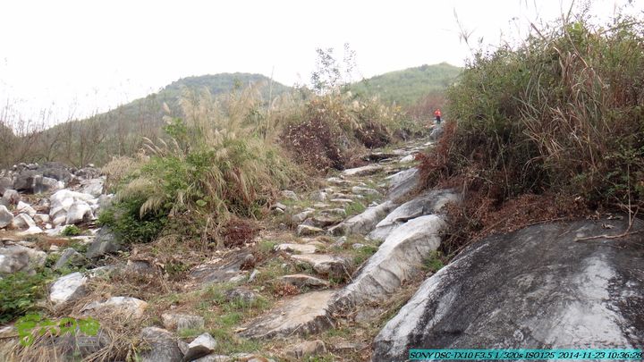 20141123-梯岭古道-报古塘-范家-董家-大兴坪DSC03724