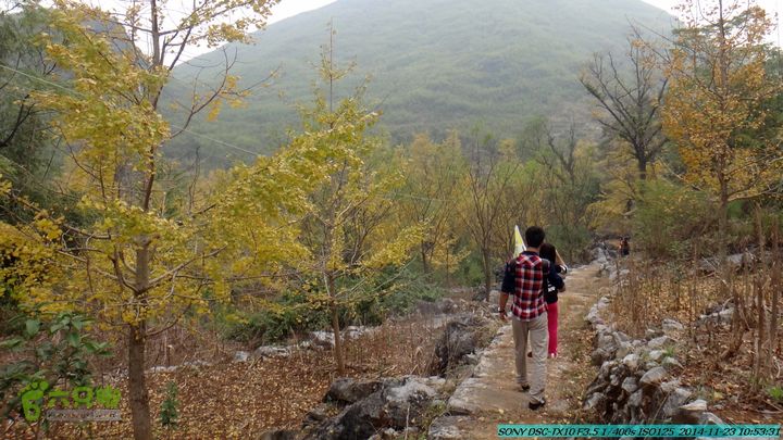 20141123-梯岭古道-报古塘-范家-董家-大兴坪DSC03726