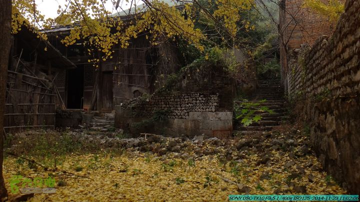 20141123-梯岭古道-报古塘-范家-董家-大兴坪DSC03729