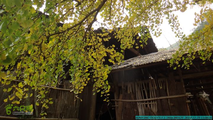 20141123-梯岭古道-报古塘-范家-董家-大兴坪DSC03735