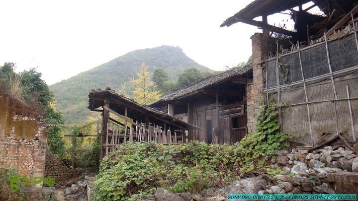 20141123-梯岭古道-报古塘-范家-董家-大兴坪DSC03738