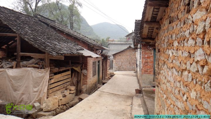 20141123-梯岭古道-报古塘-范家-董家-大兴坪DSC03739