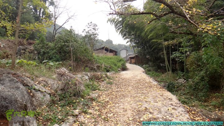 20141123-梯岭古道-报古塘-范家-董家-大兴坪DSC03740
