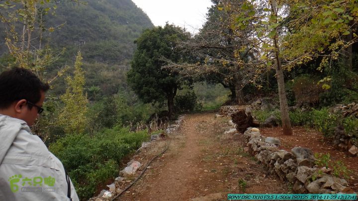 20141123-梯岭古道-报古塘-范家-董家-大兴坪DSC03741