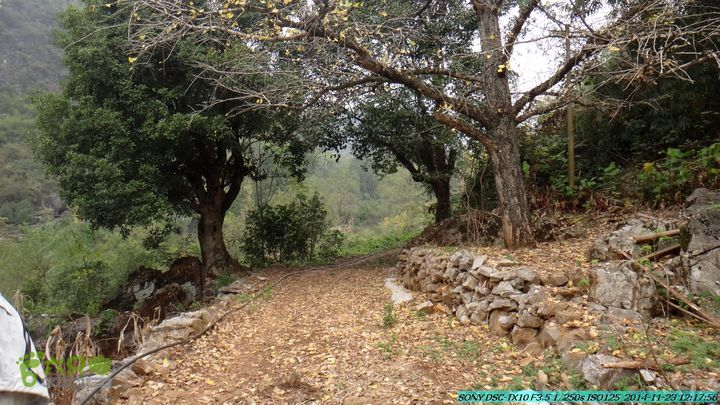 20141123-梯岭古道-报古塘-范家-董家-大兴坪DSC03742