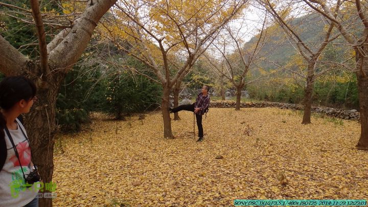 20141123-梯岭古道-报古塘-范家-董家-大兴坪DSC03746