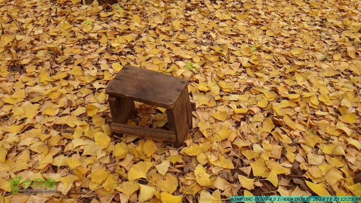 20141123-梯岭古道-报古塘-范家-董家-大兴坪DSC03748