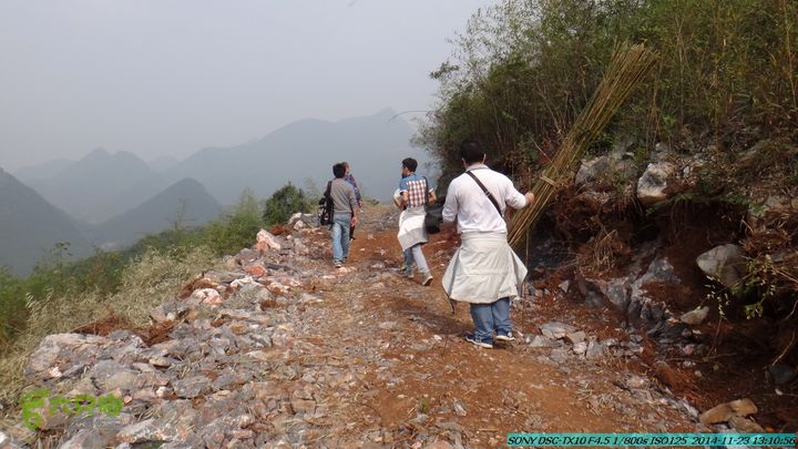 20141123-梯岭古道-报古塘-范家-董家-大兴坪DSC03760