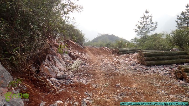 20141123-梯岭古道-报古塘-范家-董家-大兴坪DSC03761