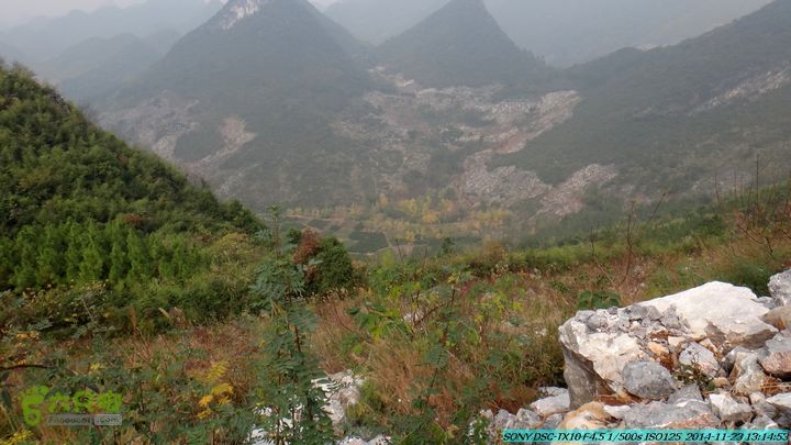 20141123-梯岭古道-报古塘-范家-董家-大兴坪DSC03764