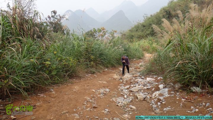 20141123-梯岭古道-报古塘-范家-董家-大兴坪DSC03771