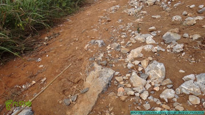 20141123-梯岭古道-报古塘-范家-董家-大兴坪DSC03772