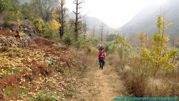 20141123-梯岭古道-报古塘-范家-董家-大兴坪DSC03774
