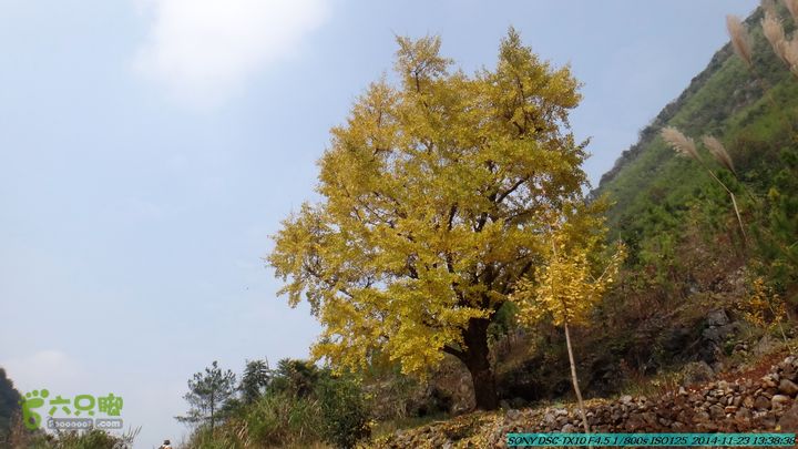 20141123-梯岭古道-报古塘-范家-董家-大兴坪DSC03777