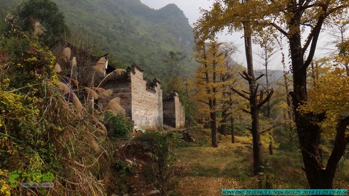 20141123-梯岭古道-报古塘-范家-董家-大兴坪DSC03781